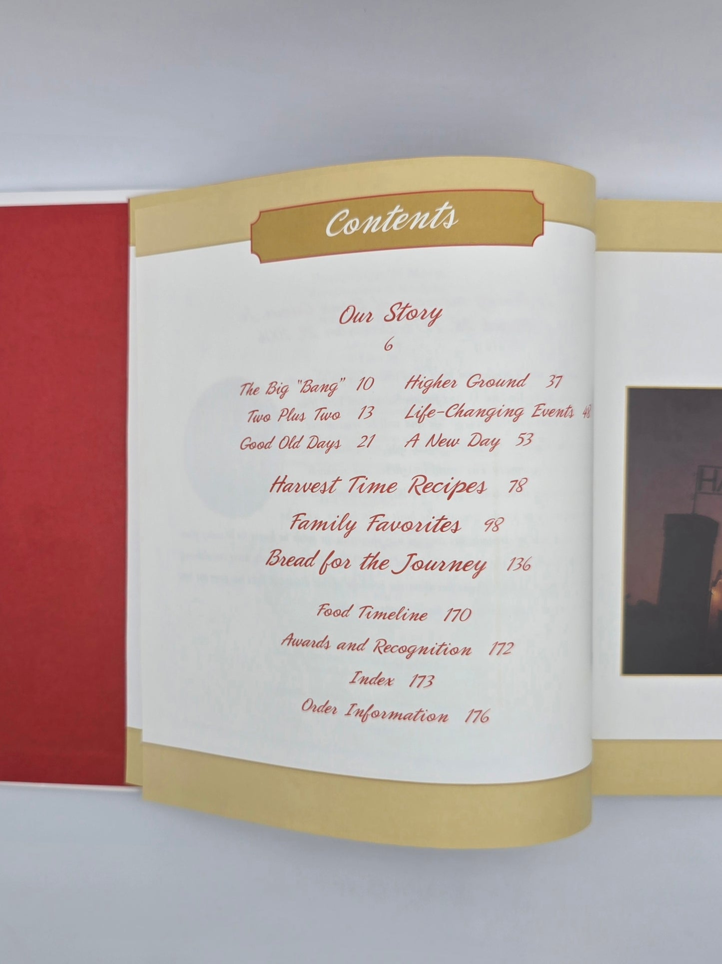 Dumplings 'N More - Our Story: Recollections & Recipes by Anne Grimes / 2008 USA