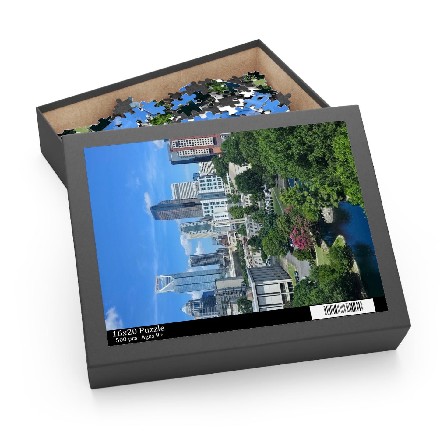 Puzzle - Charlotte City