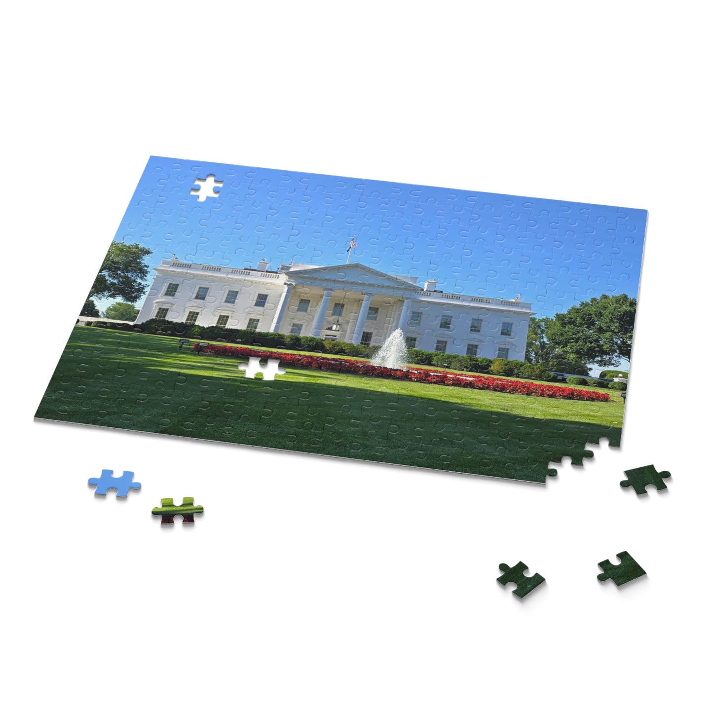 USA White House Puzzle