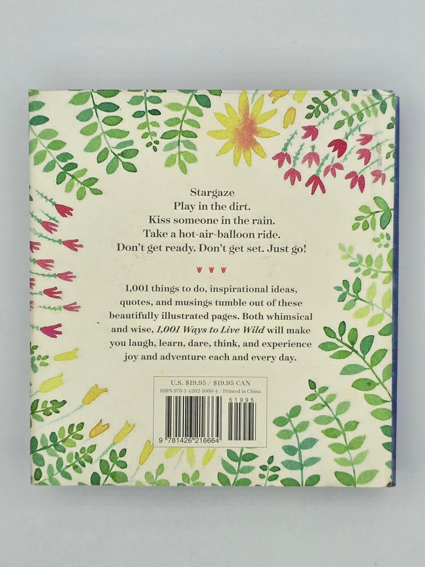 1,001 Ways to Live Wild: A Little Book of Everyday Adventures By Barbara Ann Kipfer