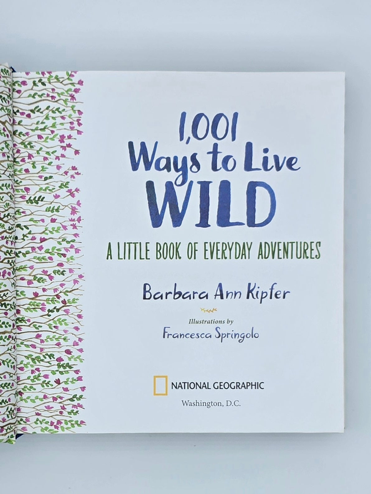 1,001 Ways to Live Wild: A Little Book of Everyday Adventures By Barbara Ann Kipfer