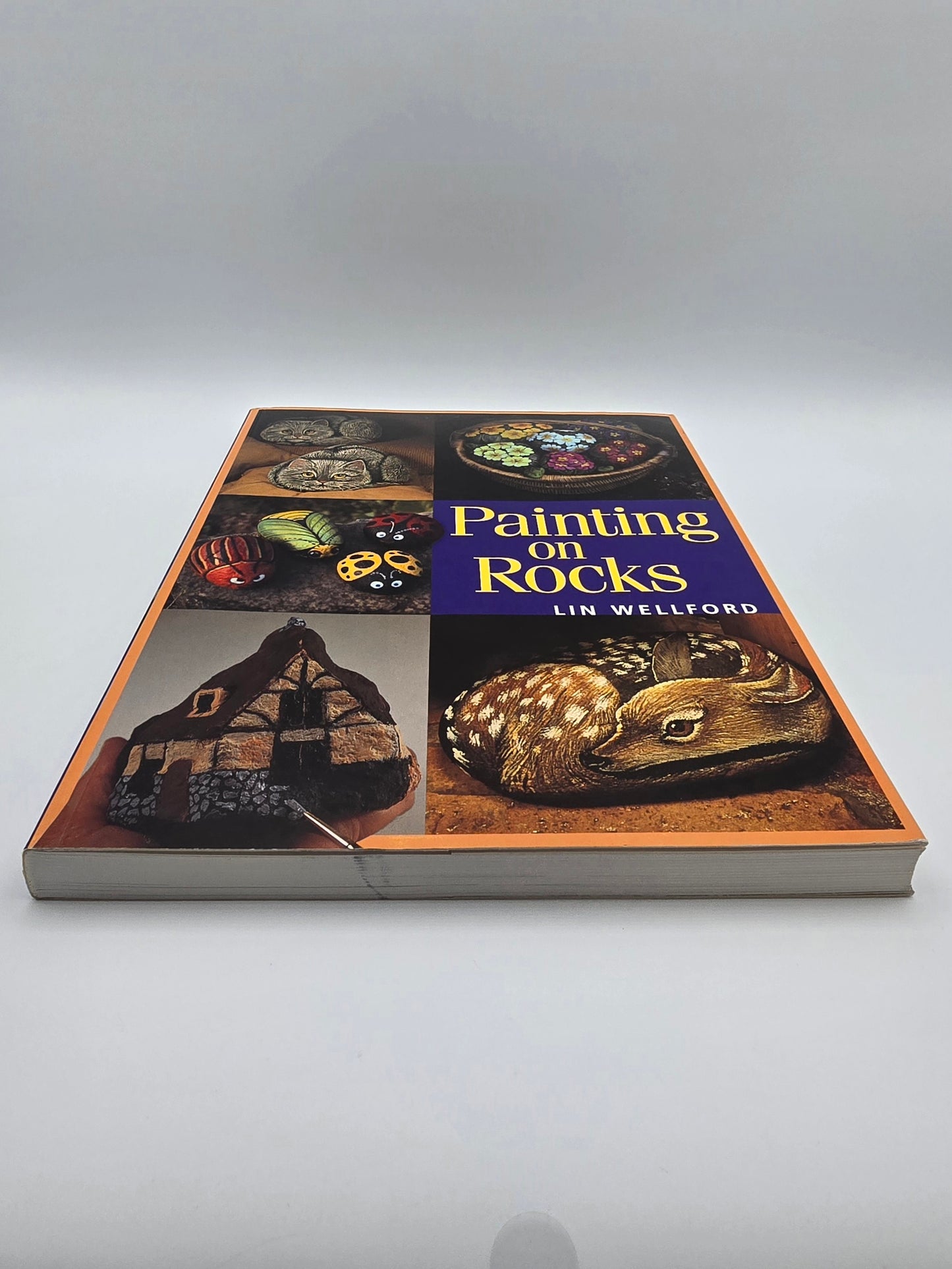 Painting on Rocks by Lin Wellford – Craft Book with 20+ Projects Animals & Flowe