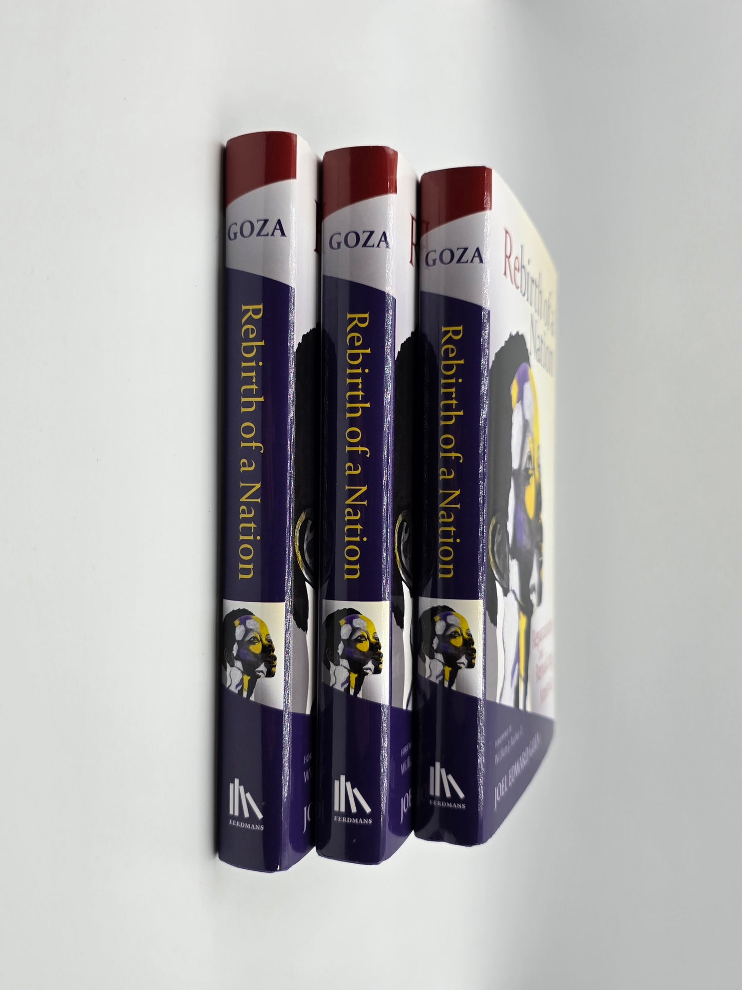 Rebirth of a Nation : Reparations & Remaking America by Joel Edward Goza