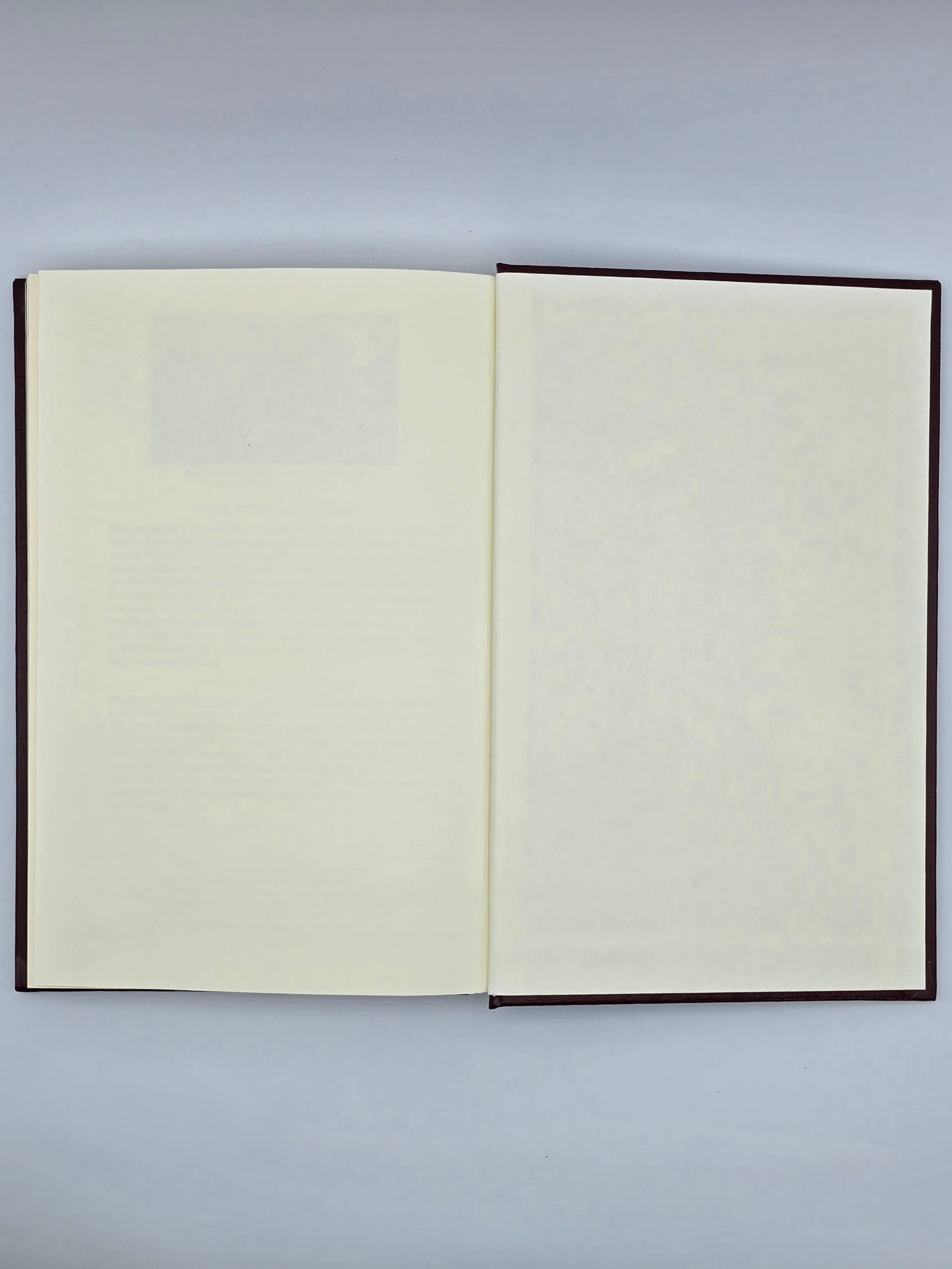 Vintage American Executive GOLFER'S GUIDE By Hubert Pedroli USA 1995