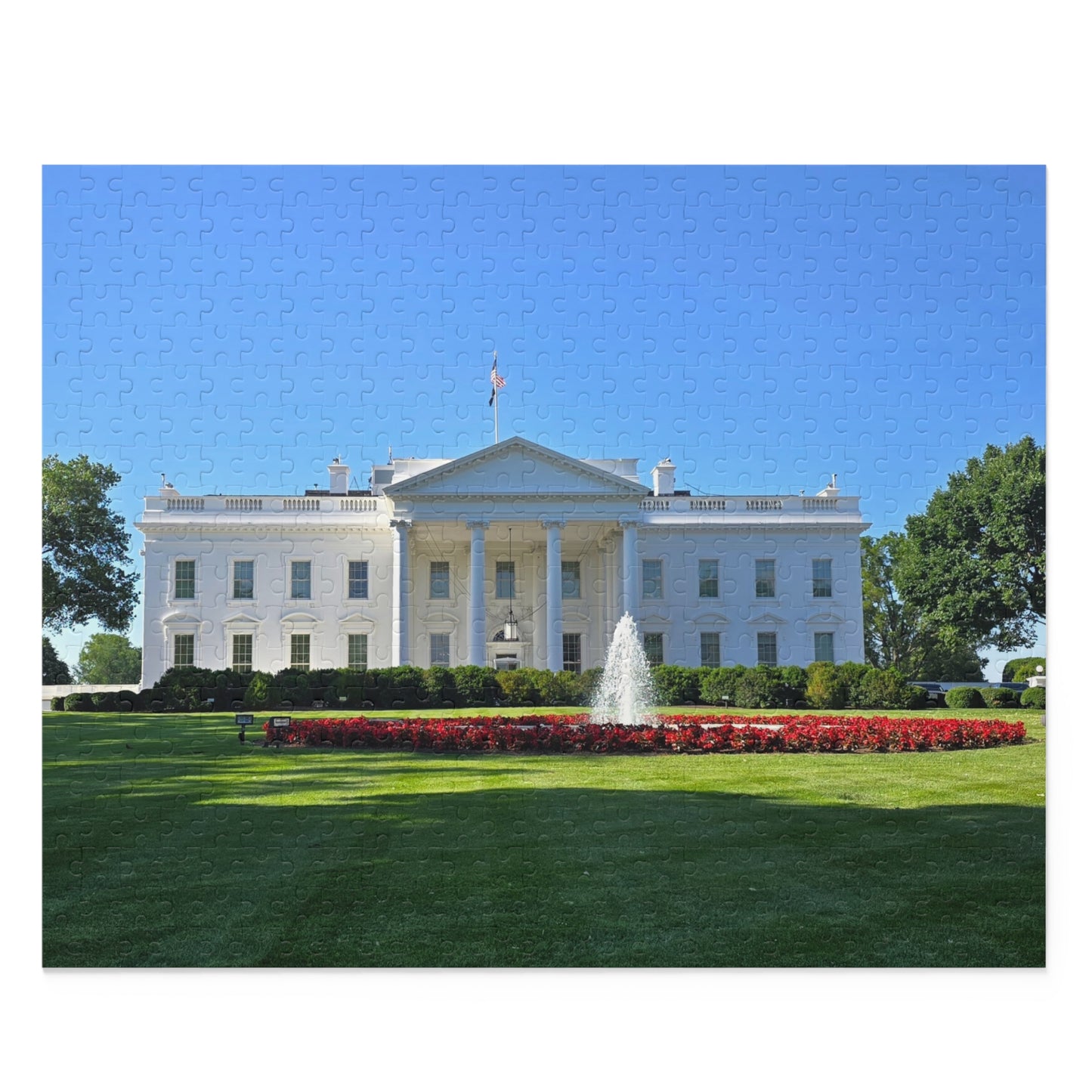 USA White House Puzzle