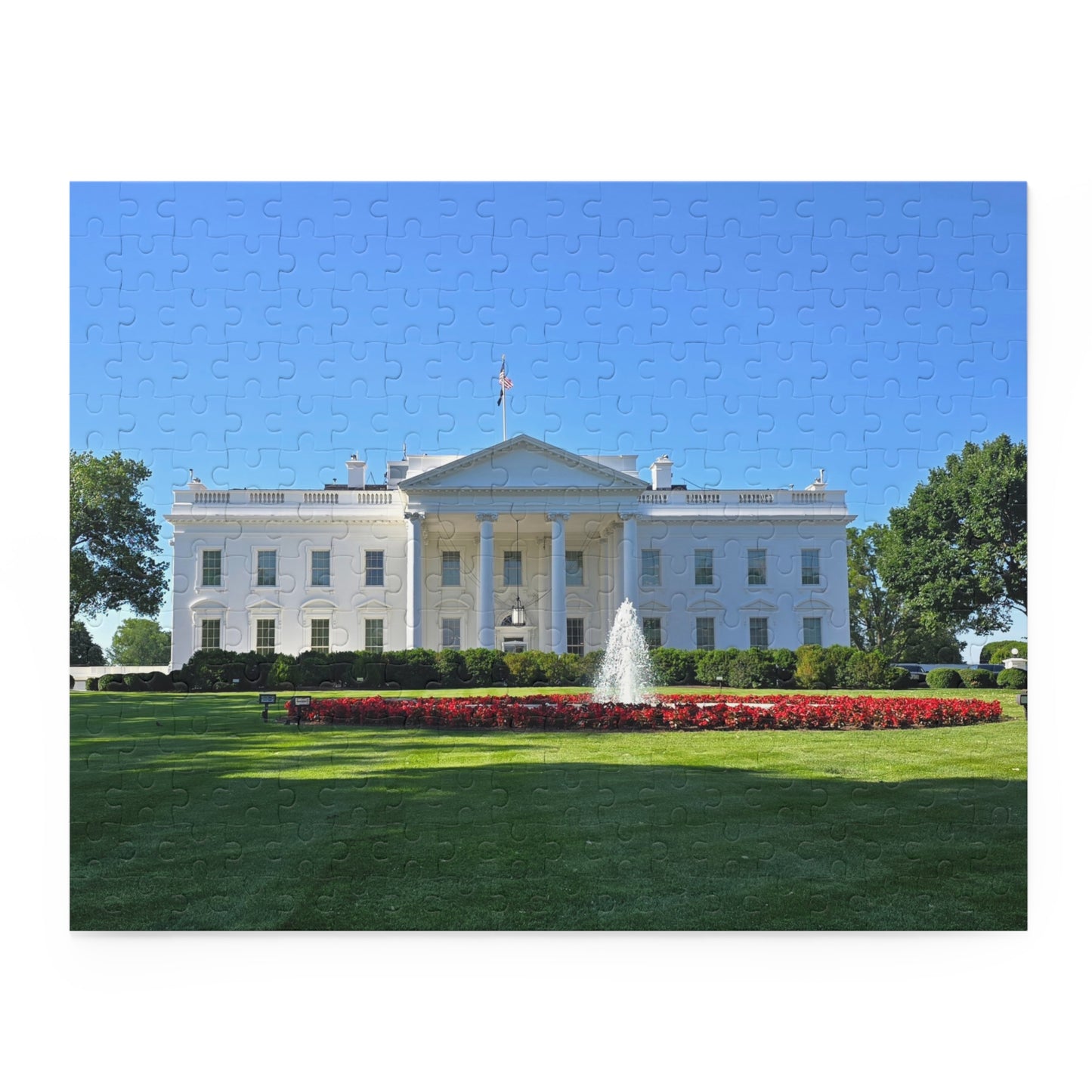 USA White House Puzzle