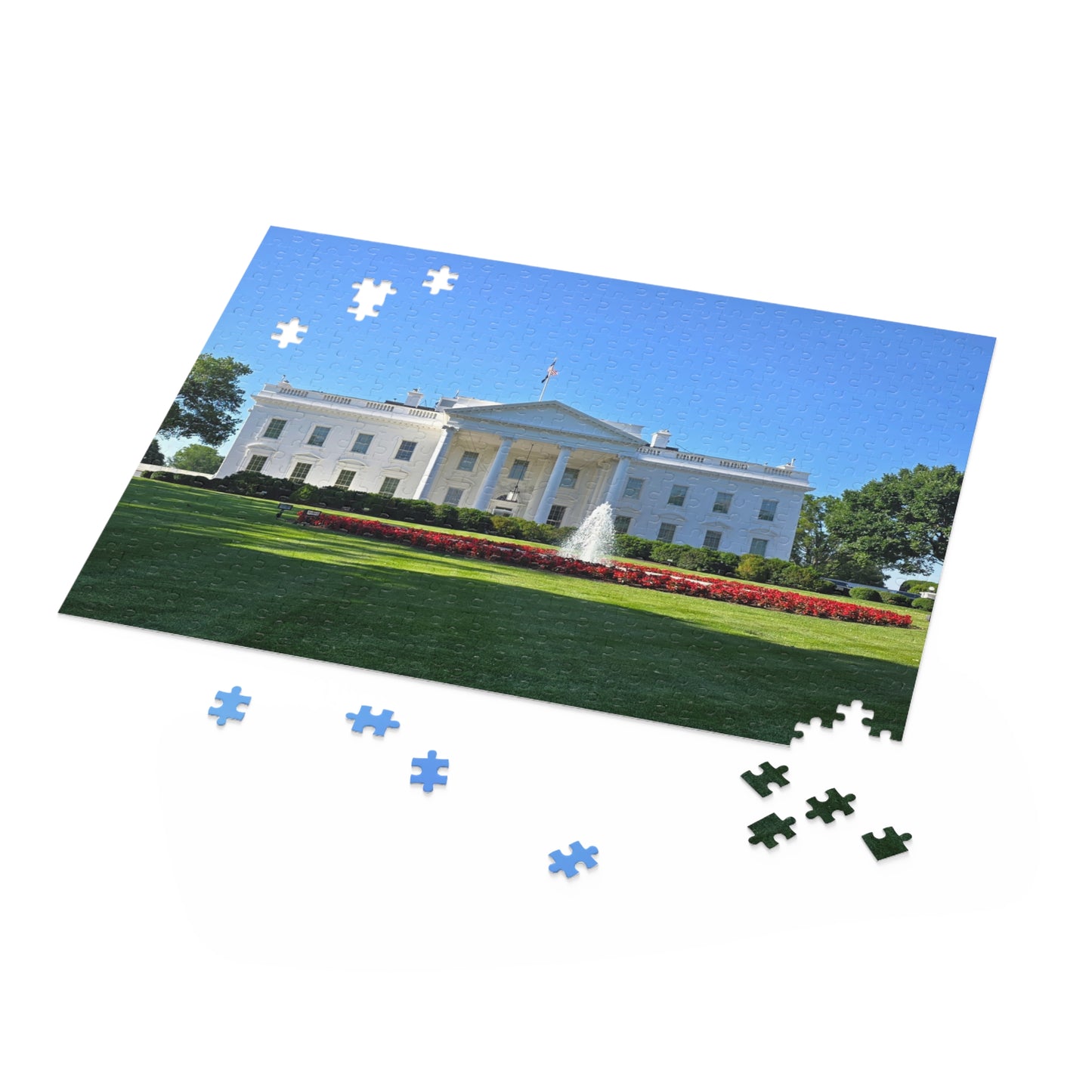 USA White House Puzzle