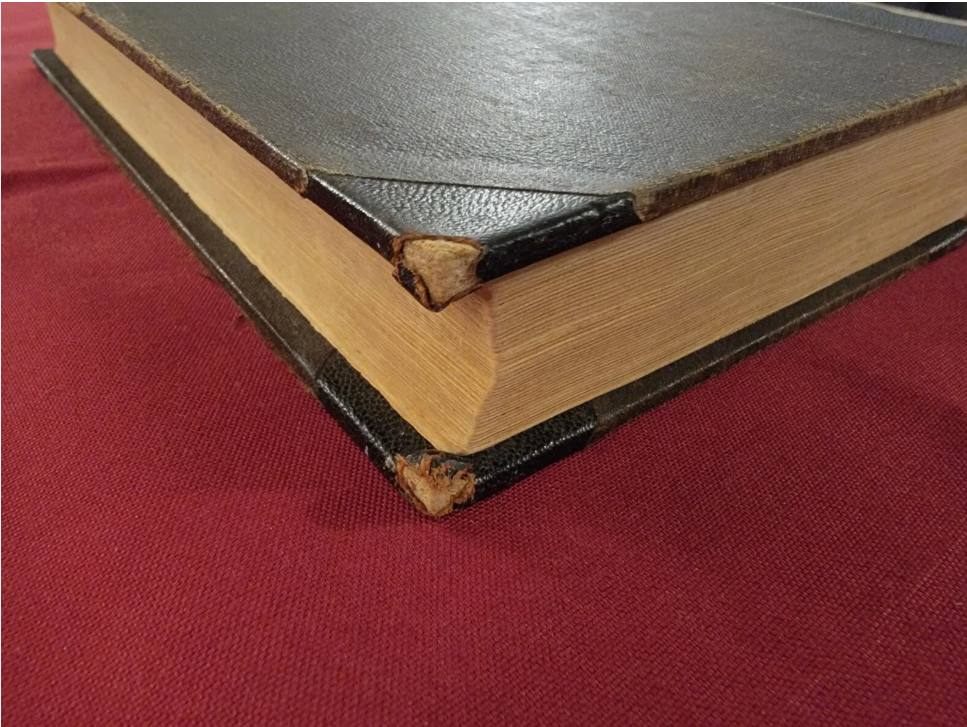 Proedikener Ober Evangelierne. Danish Gospel Proverbs 1888.