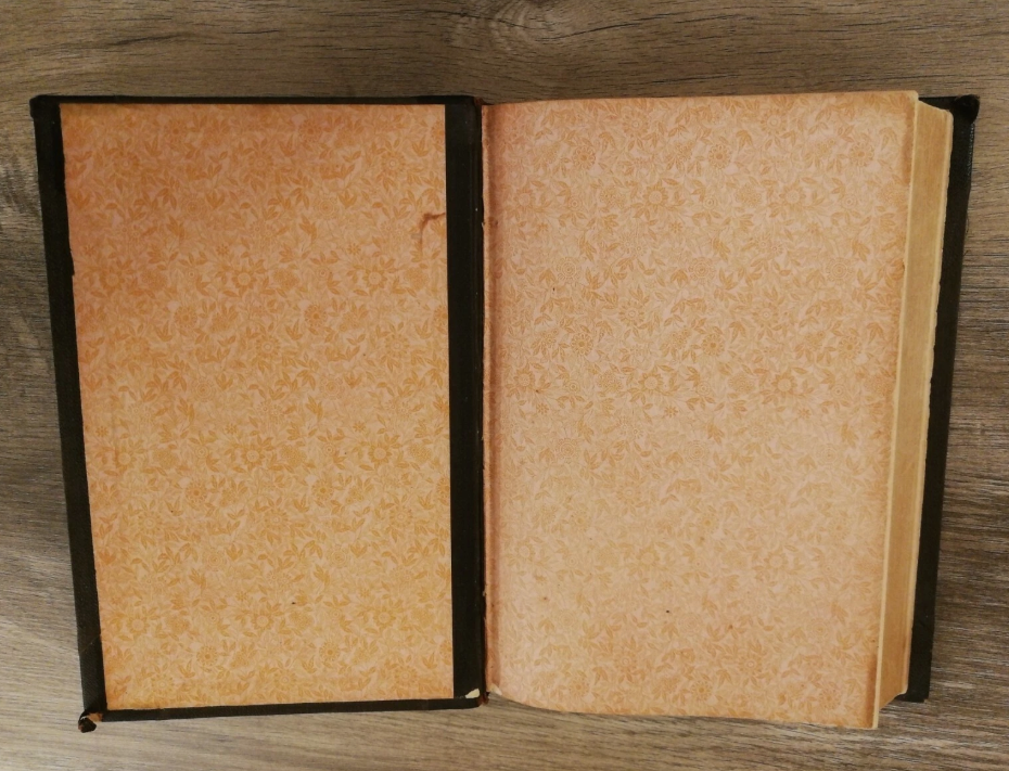 Proedikener Ober Evangelierne. Danish Gospel Proverbs 1888.