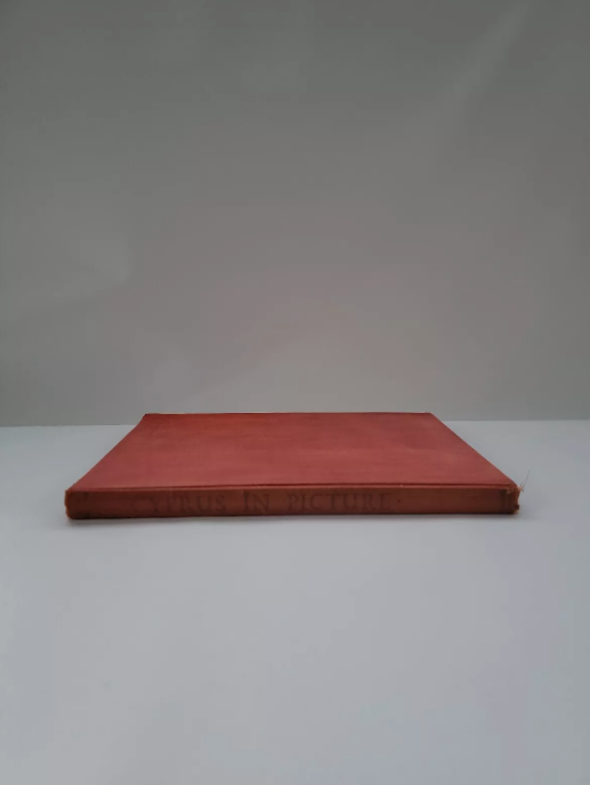 Cyprus In Picture By Reno Wideson 1953 Macgibbon & Kee Printed In London