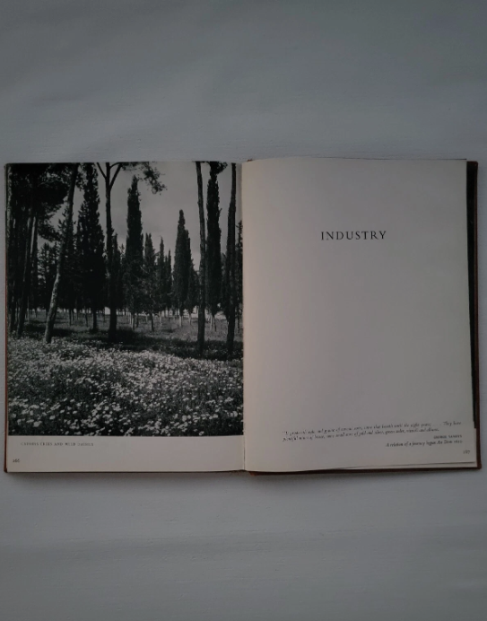 Cyprus In Picture By Reno Wideson 1953 Macgibbon & Kee Printed In London