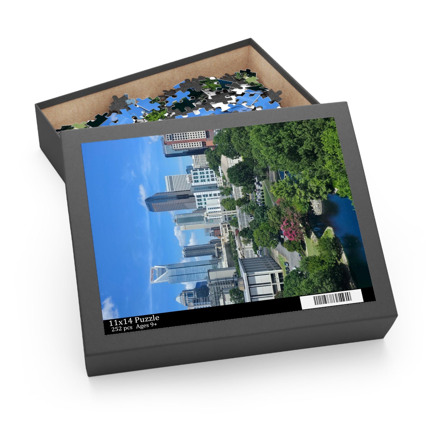 Puzzle - Charlotte City