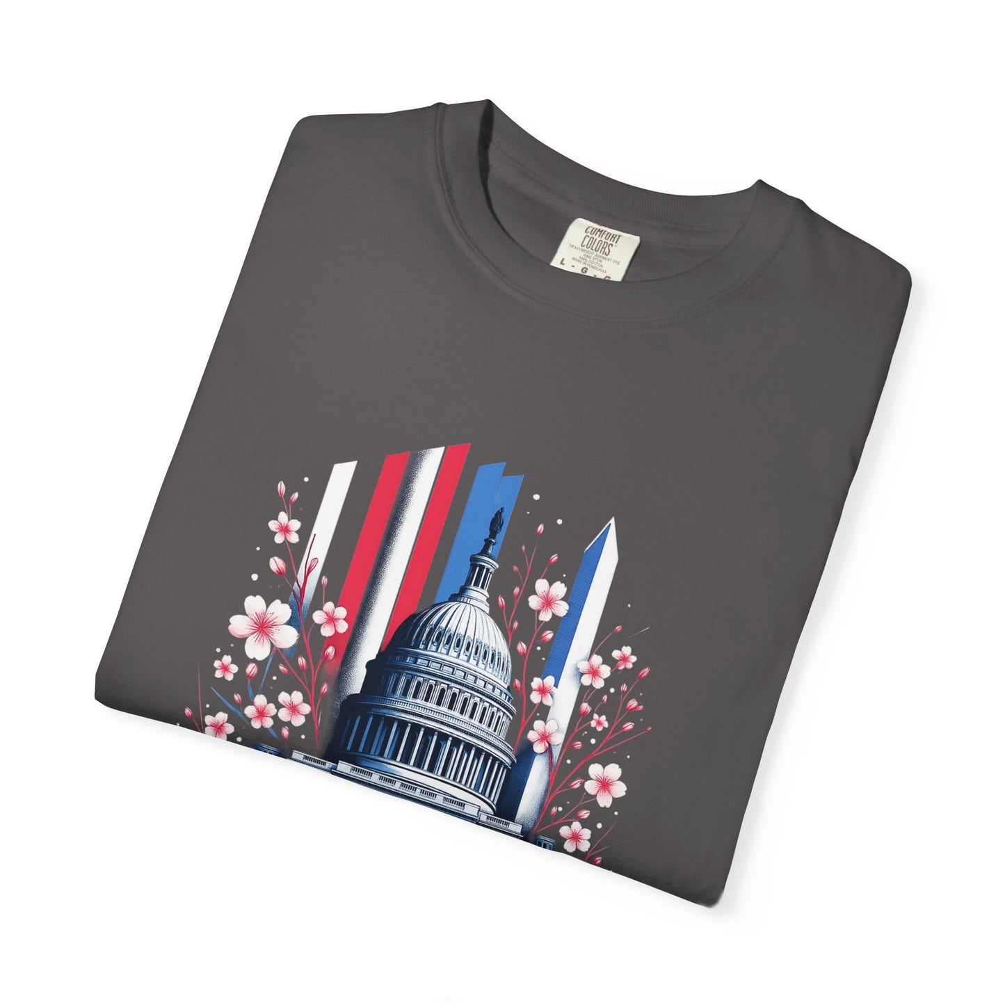 Washington DC Unisex T-shirt