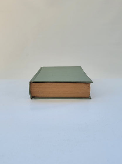 The Secret of Barizu – Book 2, Consisting of 4 Volumes