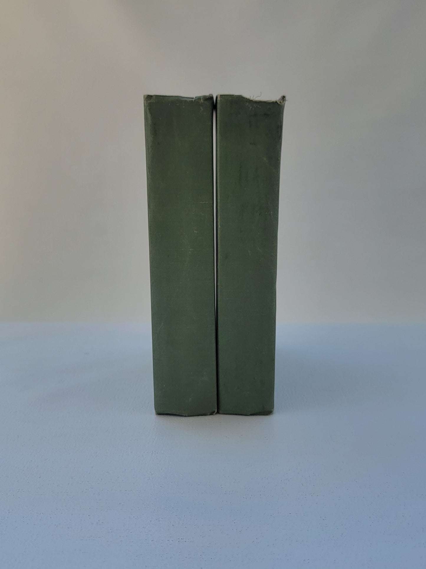 The Secret of Barizu – Book 2, Consisting of 4 Volumes