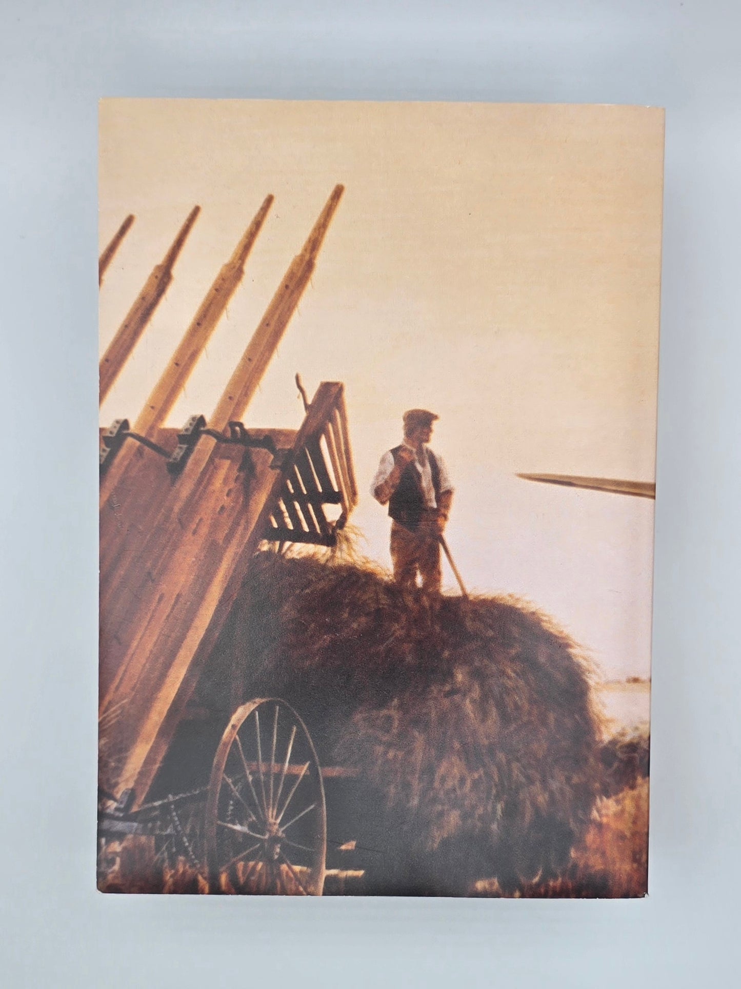 Vintage Book Combat Chronology 1941 to 1945. U.S. Army Air Forces in World War II