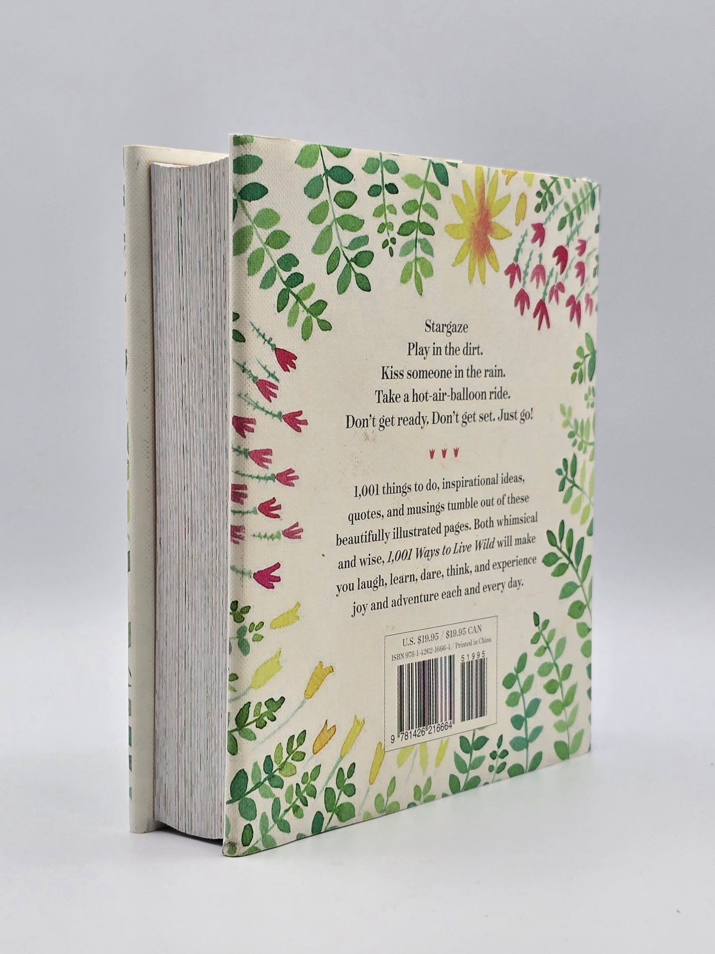 1,001 Ways to Live Wild: A Little Book of Everyday Adventures By Barbara Ann Kipfer