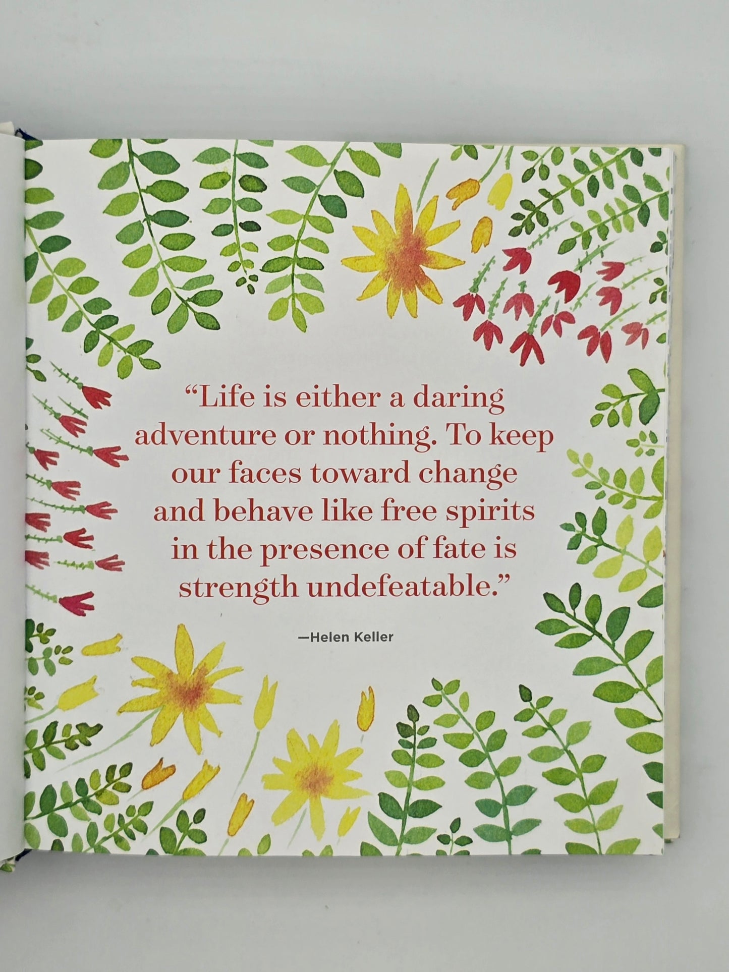 1,001 Ways to Live Wild: A Little Book of Everyday Adventures By Barbara Ann Kipfer