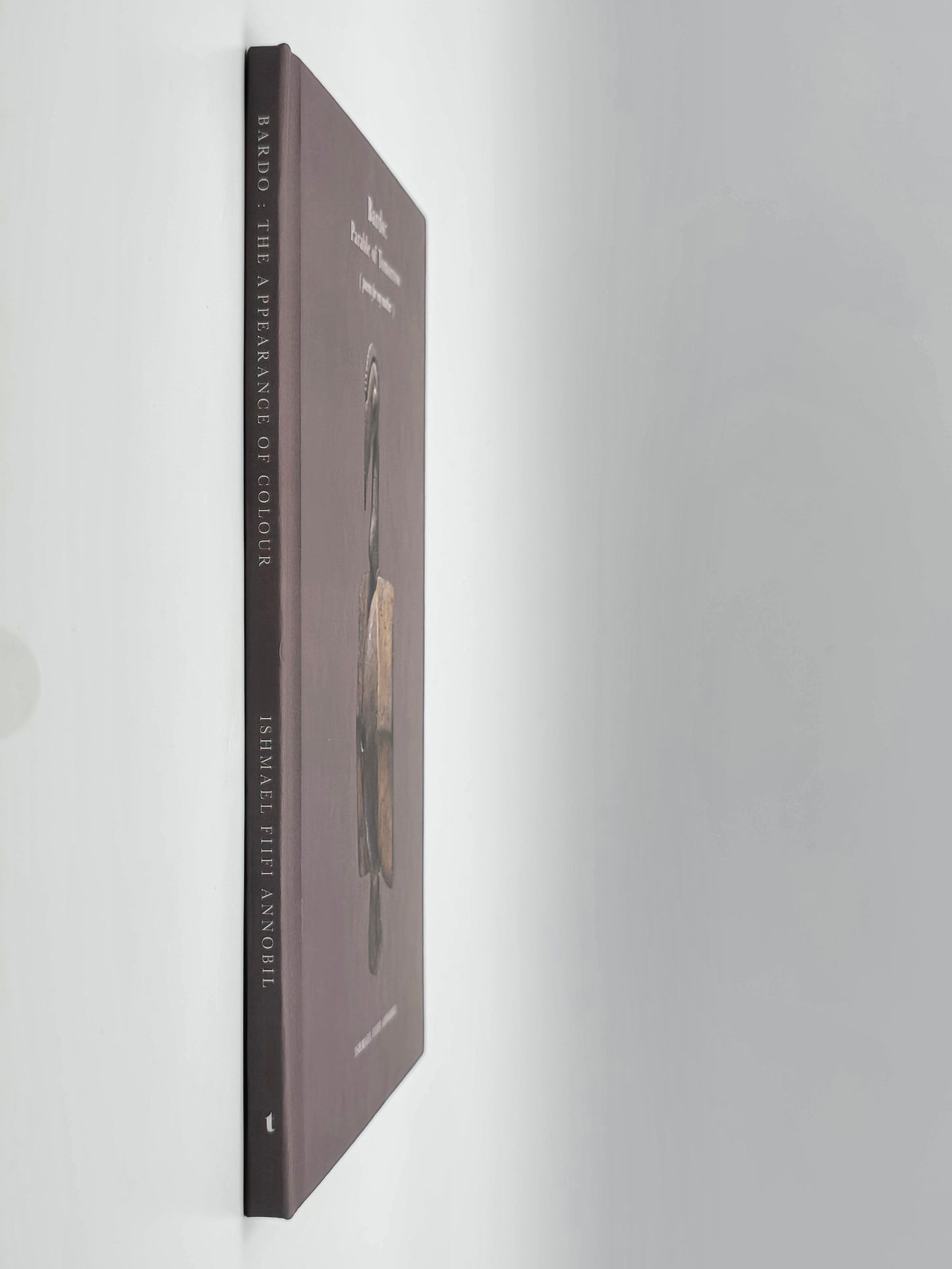 Bardo : Parable of Tomorrow by Ishmael Fiifi Annobil