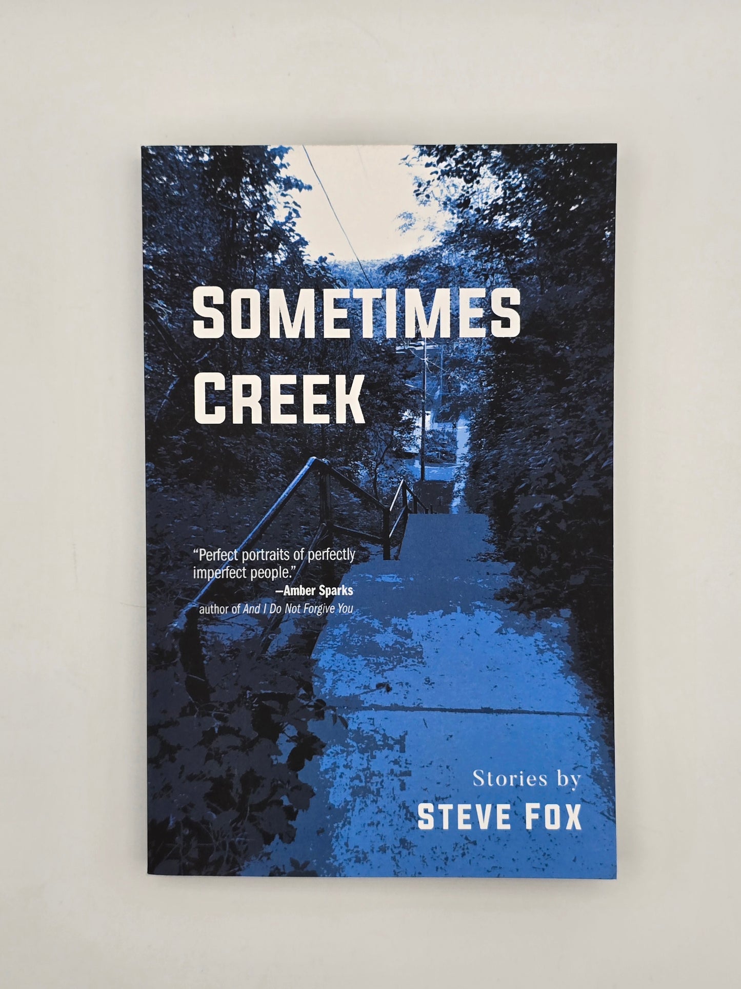 Sometimes Creek : Stories by Steve Fox