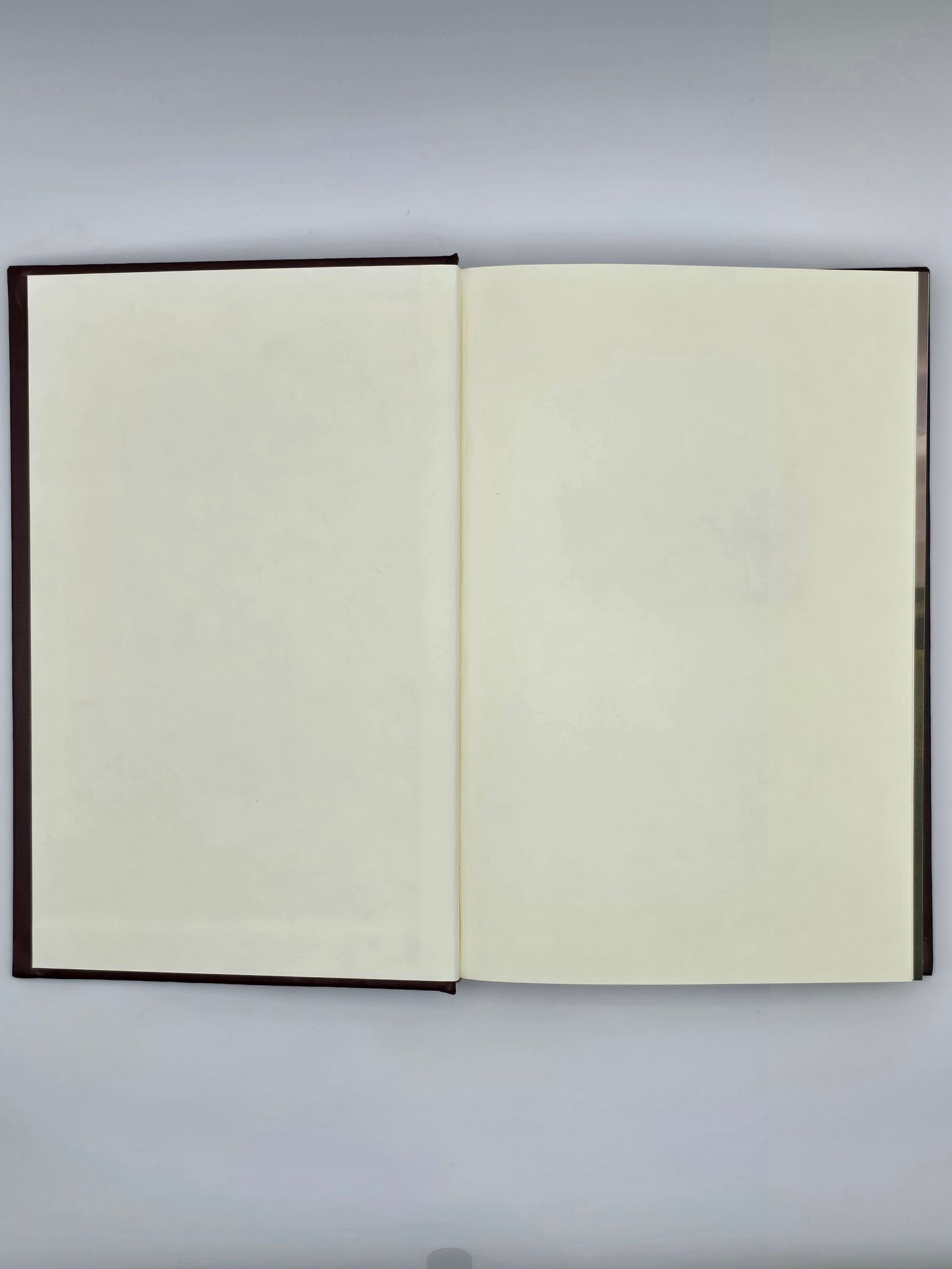 Vintage American Executive GOLFER'S GUIDE By Hubert Pedroli USA 1995