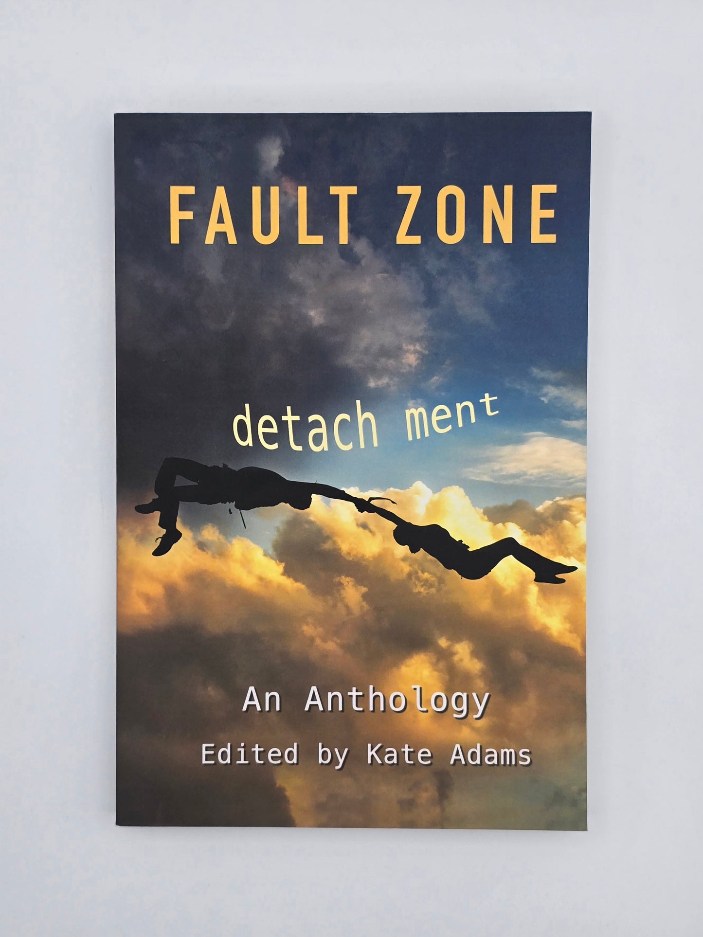 Fault Zone : Detachment by Laurel Anne Hill