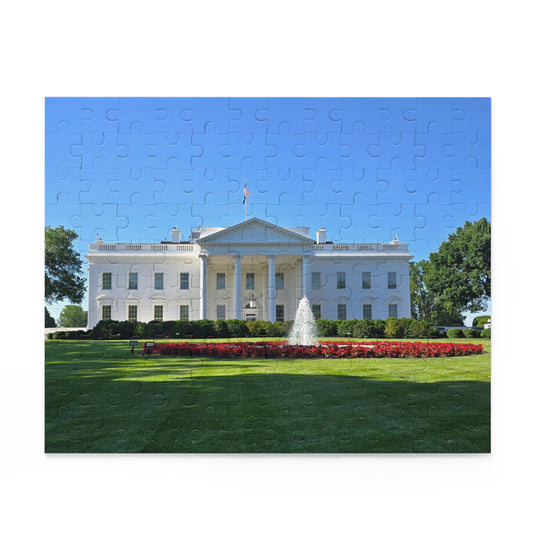 USA White House Puzzle