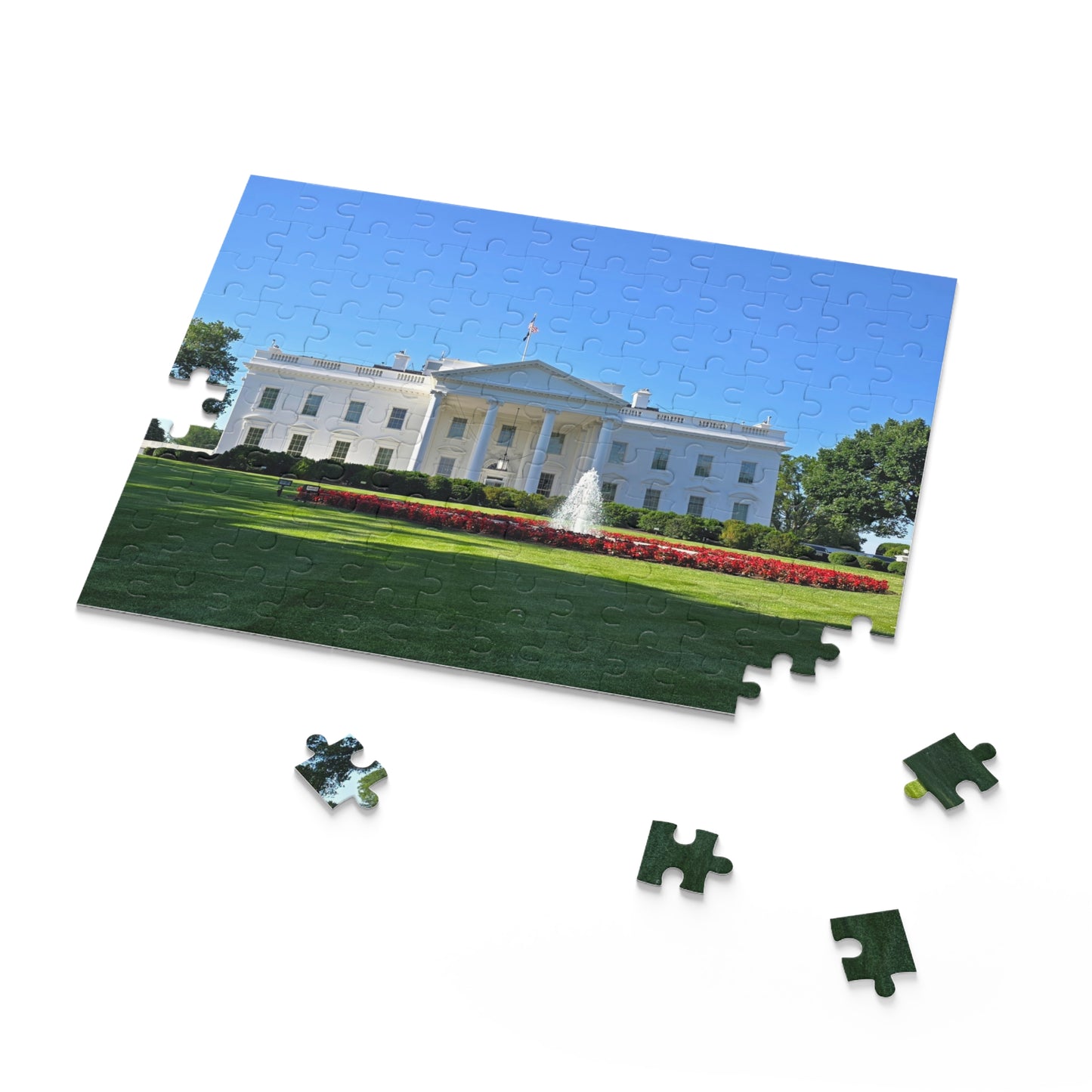 USA White House Puzzle