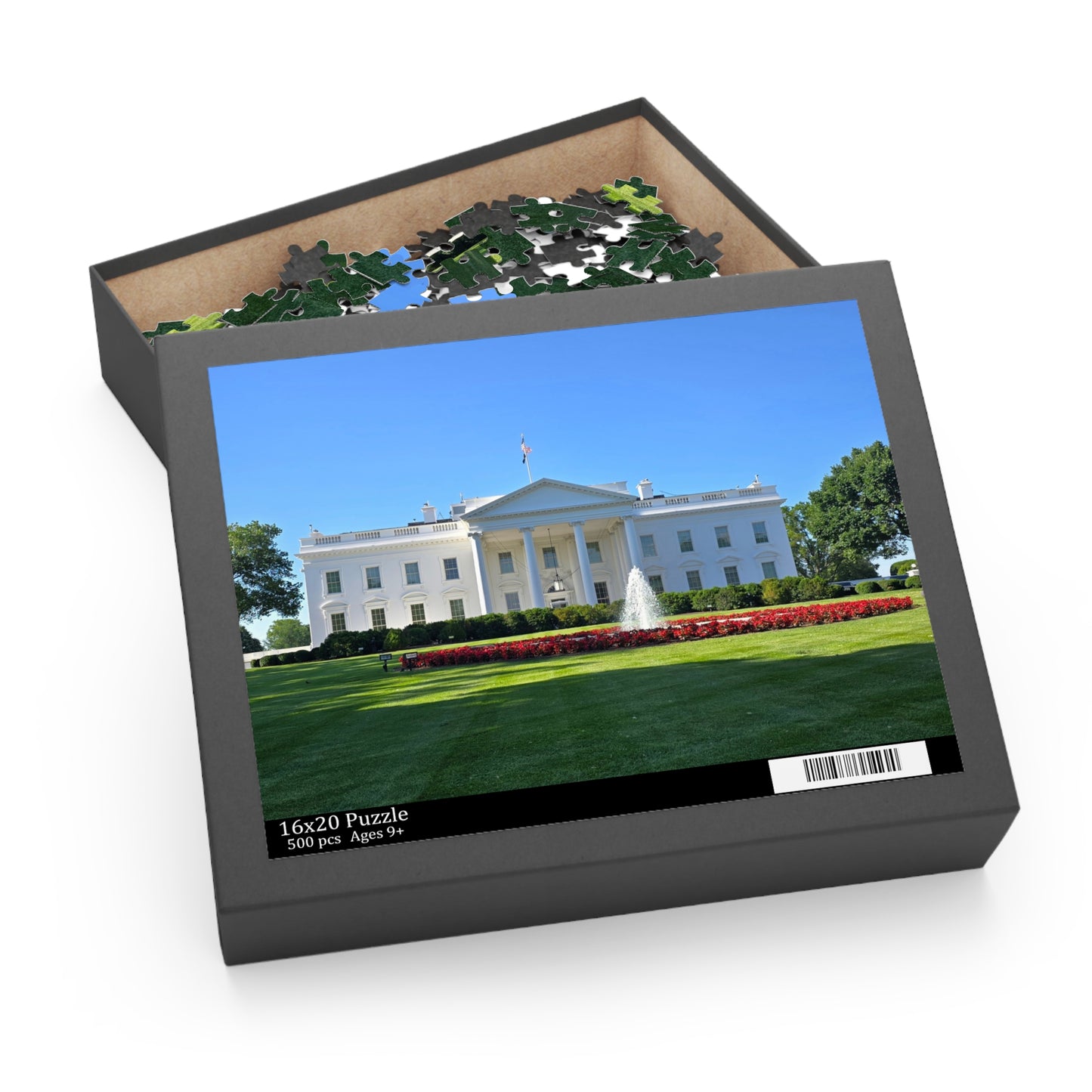 USA White House Puzzle