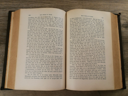 Proedikener Ober Evangelierne. Danish Gospel Proverbs 1888.