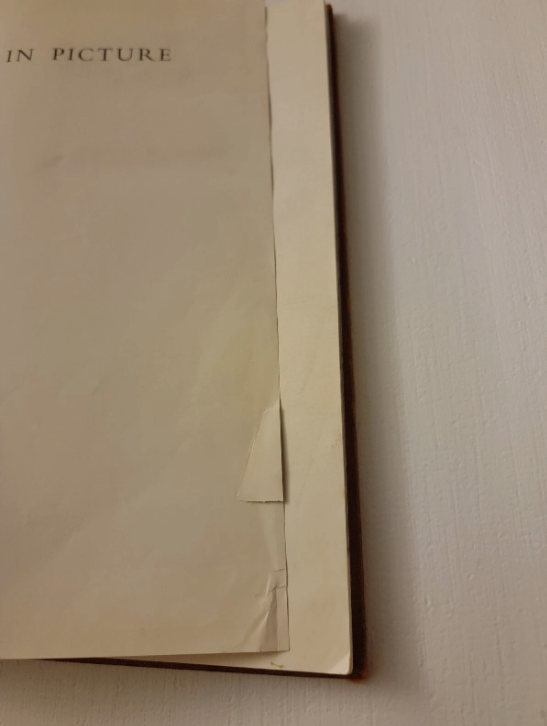 Cyprus In Picture By Reno Wideson 1953 Macgibbon & Kee Printed In London