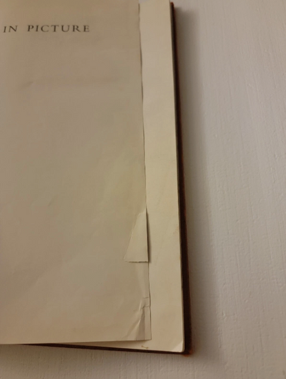 Cyprus In Picture By Reno Wideson 1953 Macgibbon & Kee Printed In London