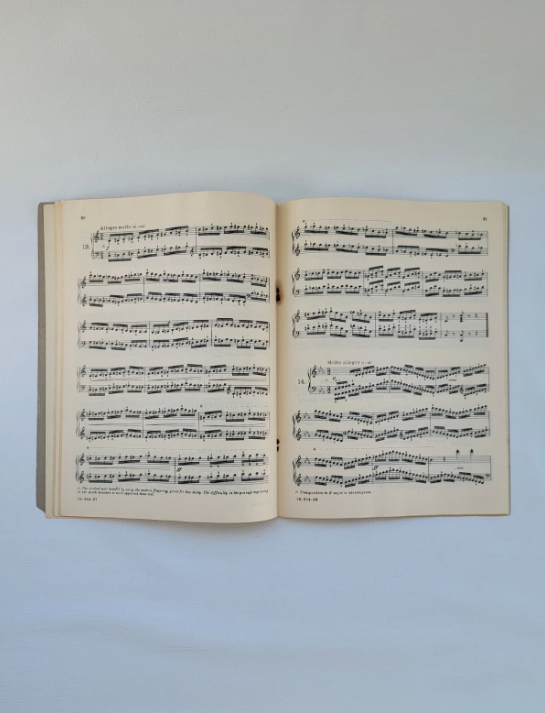 Carl Czerny Studies Piano Sheet Music Book 1 - Velocity Development 1921 VTG